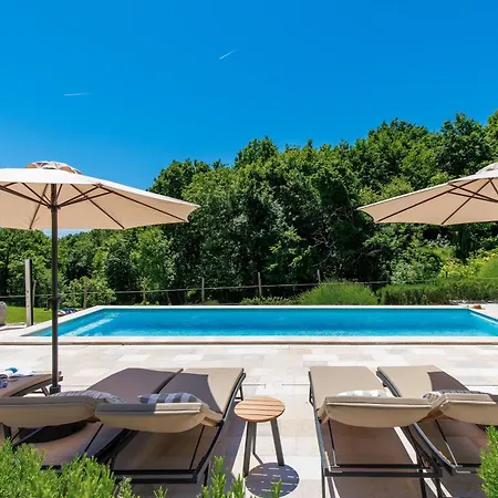 Oliti With Pool Dom wakacyjny Moscenice