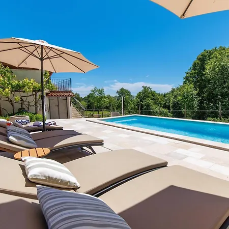 Oliti With Pool Moscenice