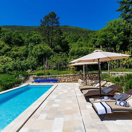 Oliti With Pool Hébergement de vacances Moscenice